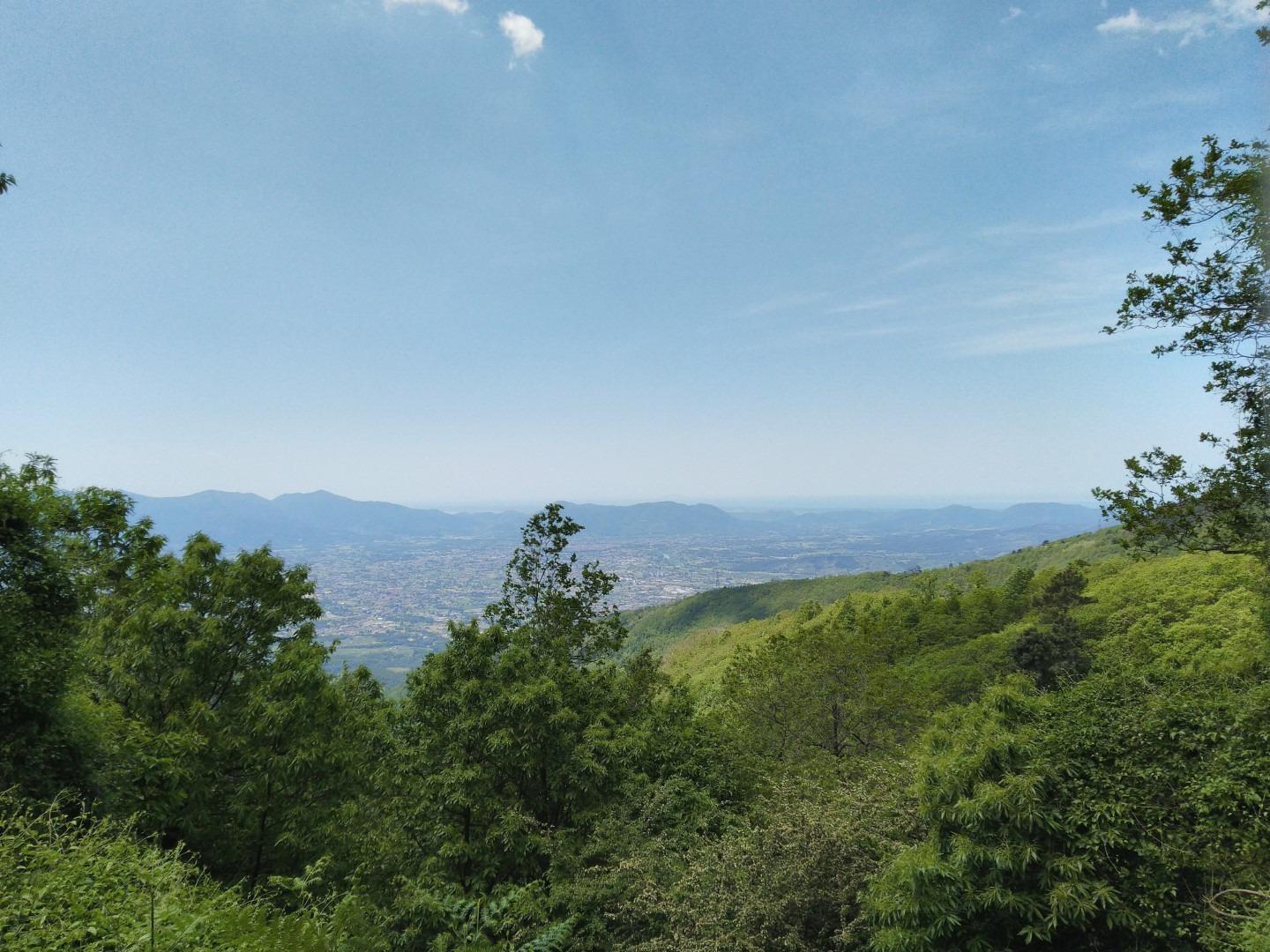 Panorama verde dalle Pizzorne, tra boschi, colline e natura.