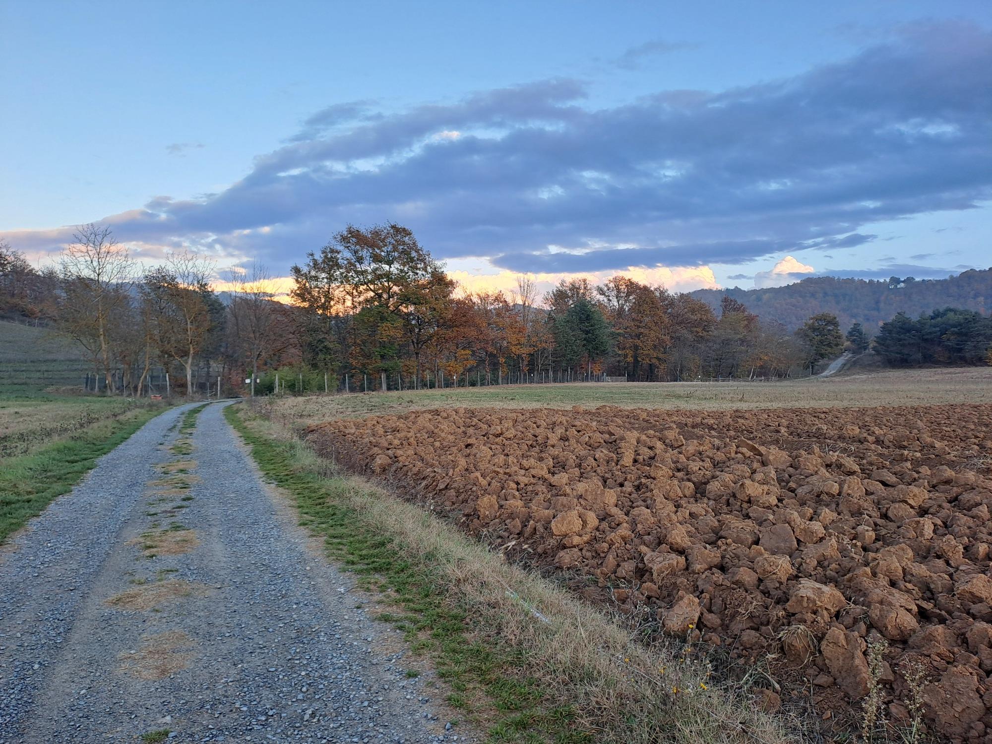la stradina sterrata che vi porta da noi!