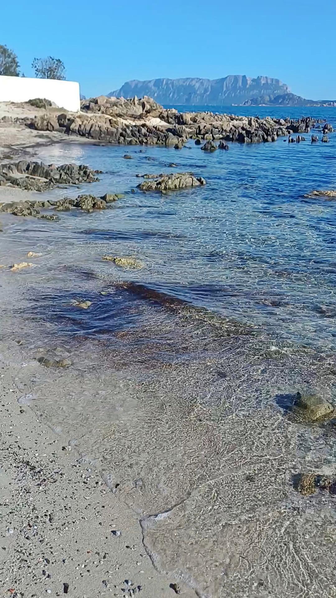 Spiaggia del Pellicano (10 minuti in macchina)