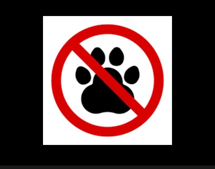 No Animali