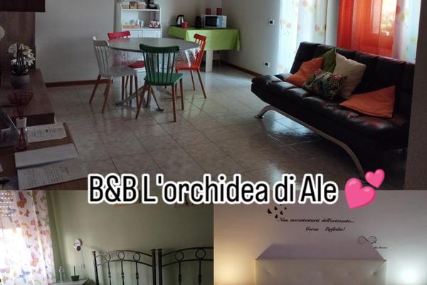 B&B L'orchidea di Ale