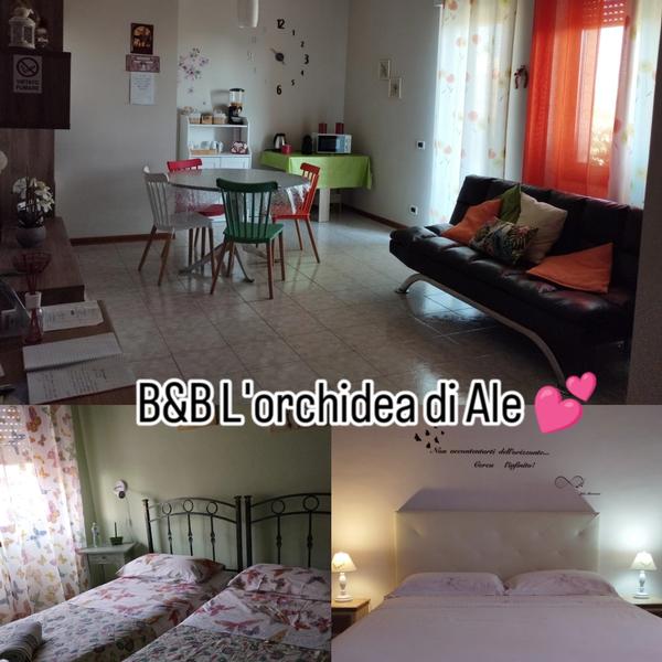  B&B L'Orchidea Di Ale