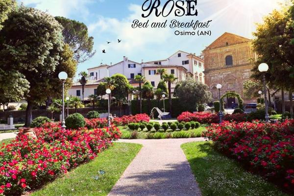 B&B Rose Osimo