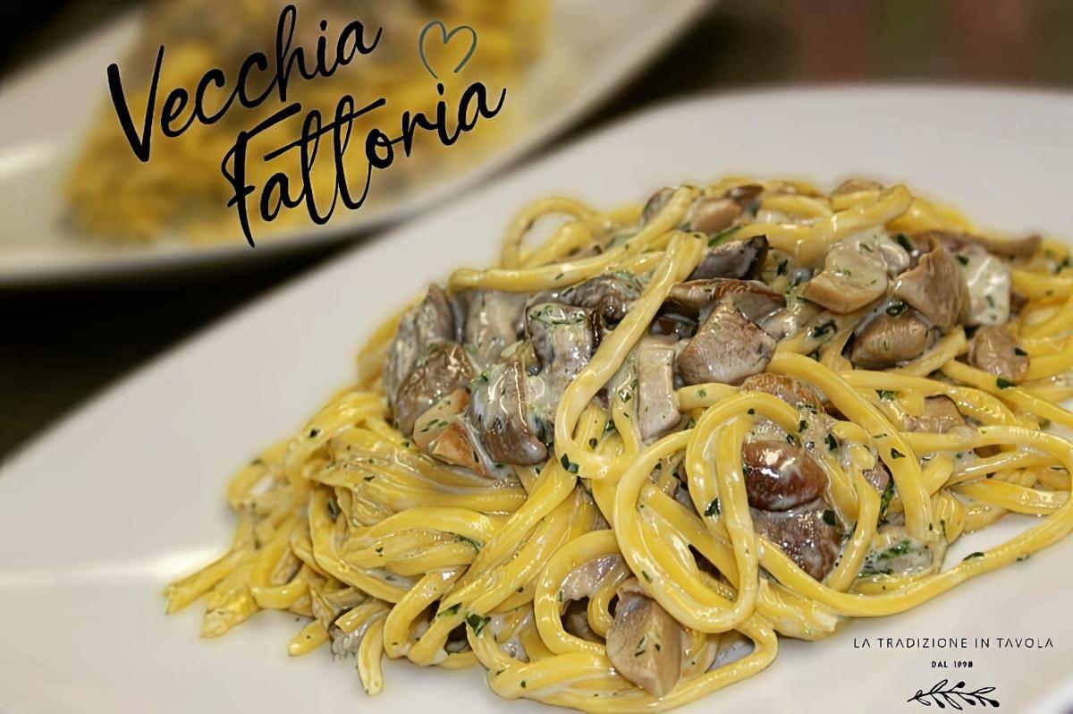 Il ristorante di VECCHIA FATTORIA