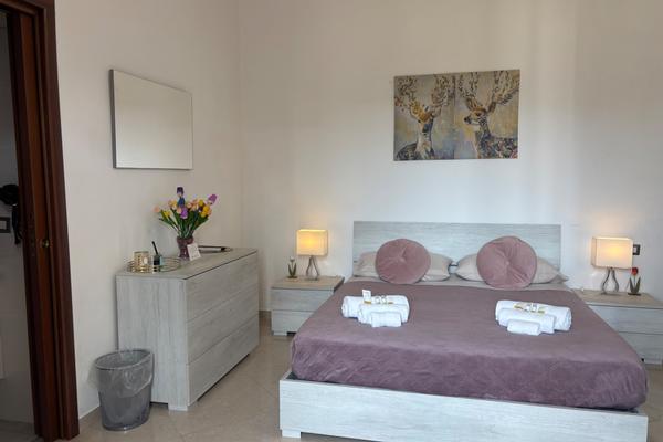 B&B Tulipano