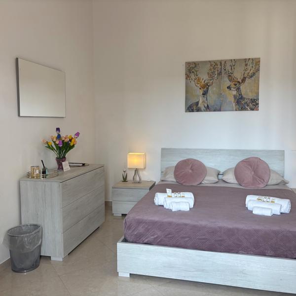  B&B Tulipano