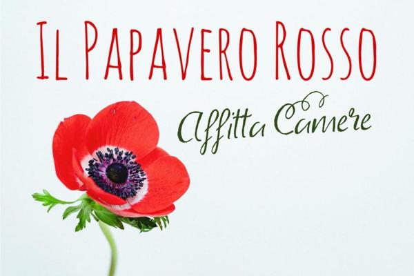 Il Papavero Rosso