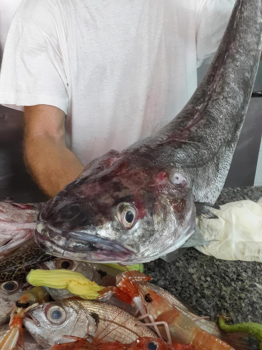 Il ristorante di AFFITTACAMERE SANDOMENICO