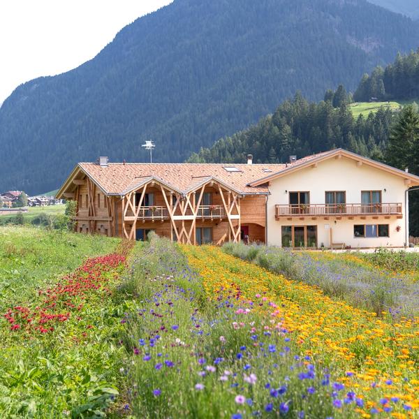 ecogreen fiores agriturismo