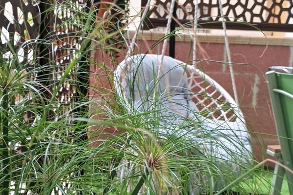 La Casa di Beppe e Madia