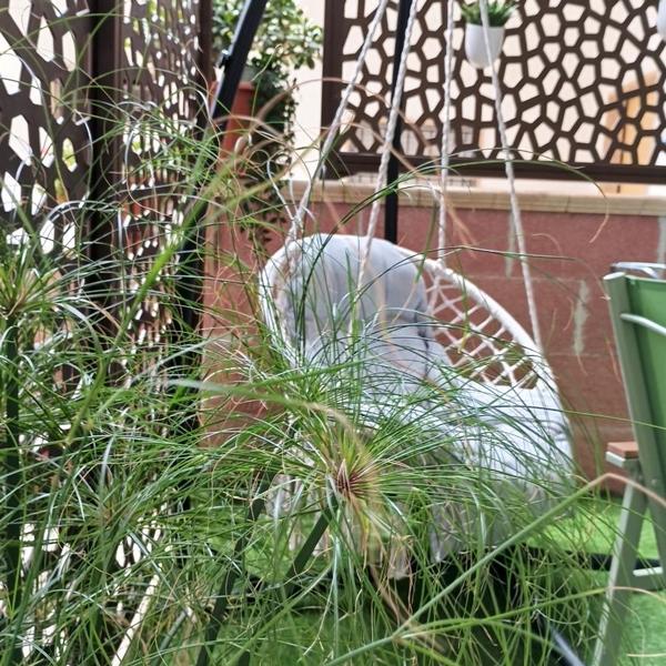  La Casa Di Beppe e Madia