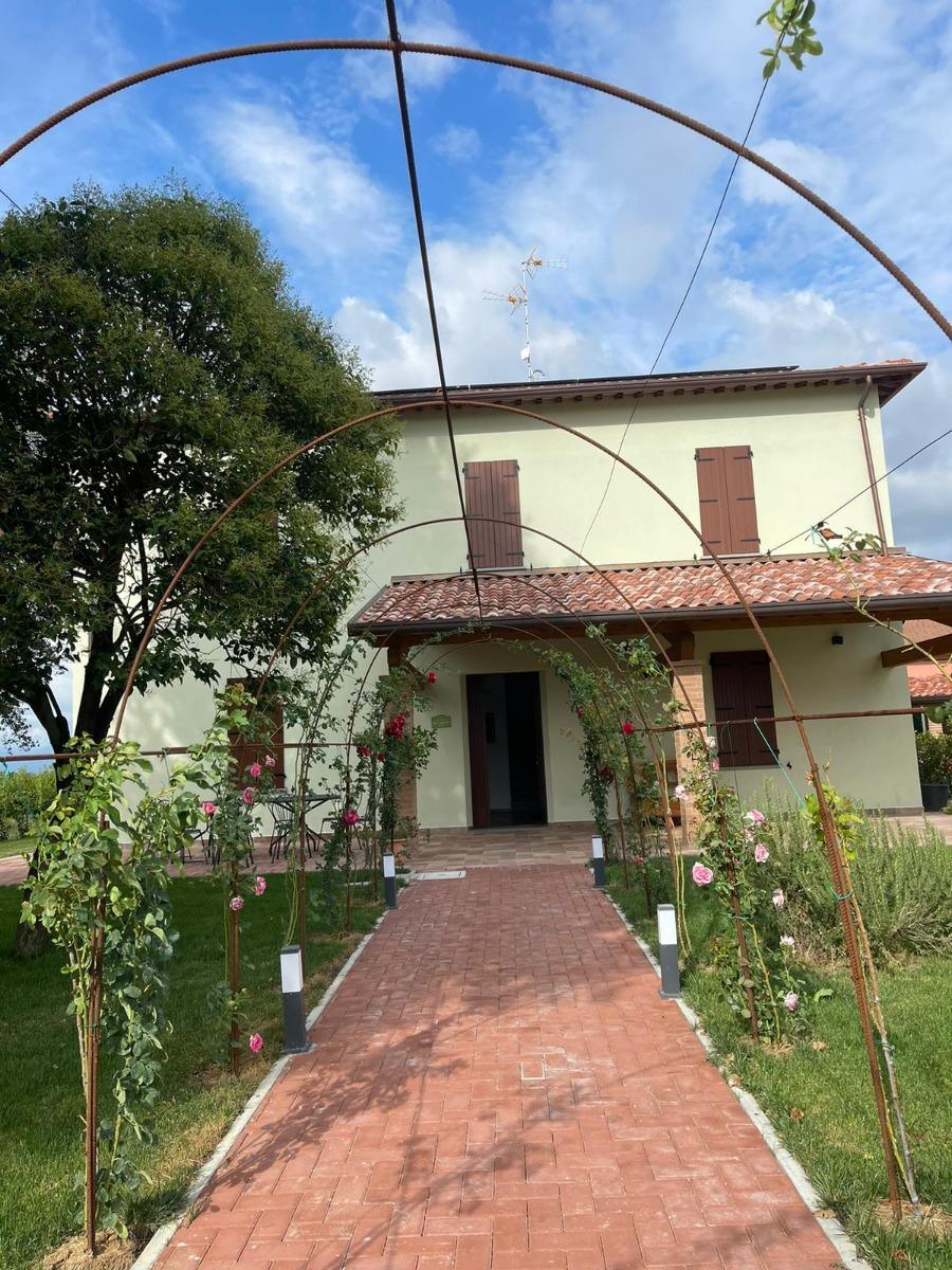 SAN MAMANTE
