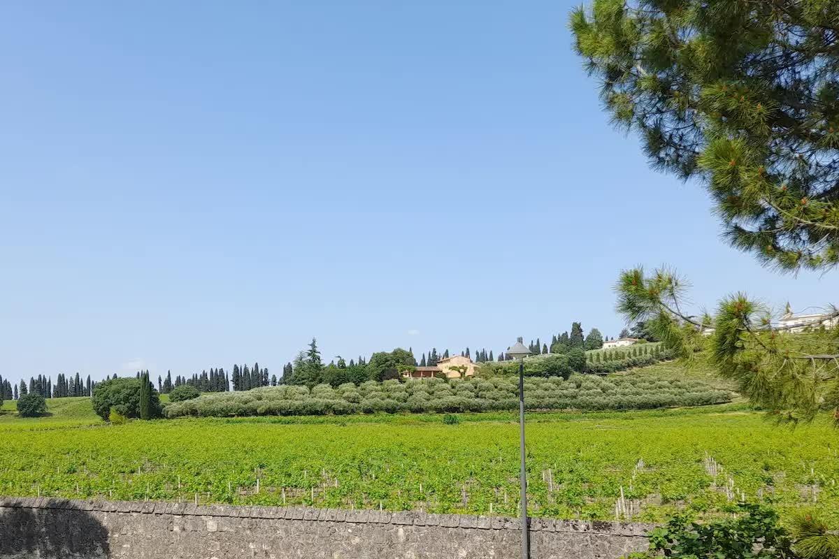 Veduta da balcone (soggiorno)