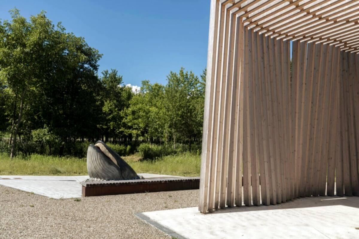 Cosa vedere: MuMAB_Museo Mare Antico e Biodiversità