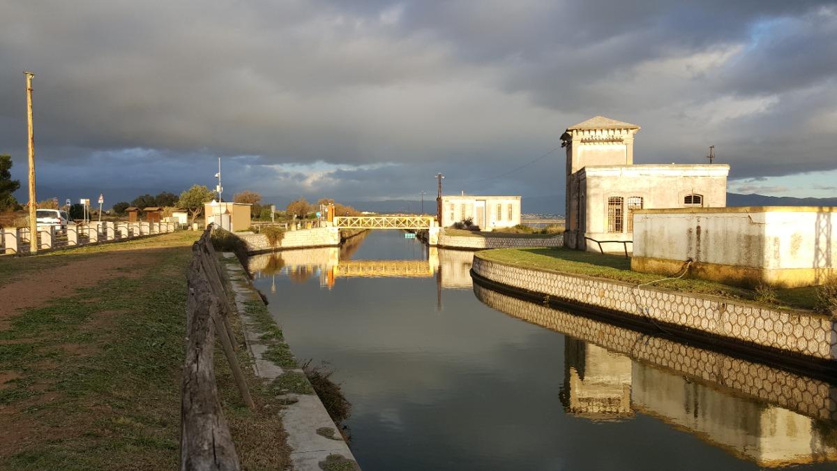 Parco Naturale Regionale Molentargius Saline. RONDONE
