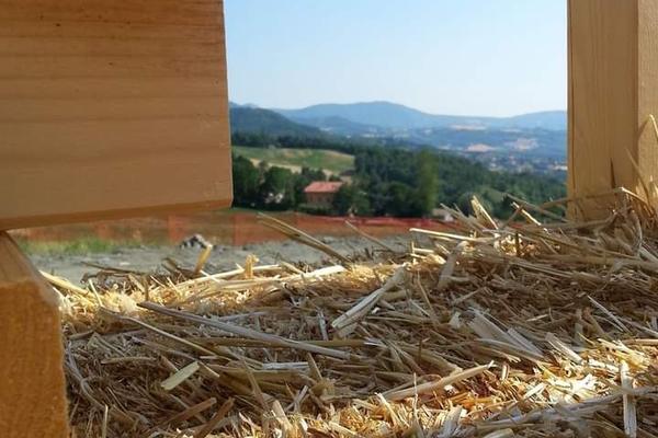 B&B EcoAntico Casa in paglia