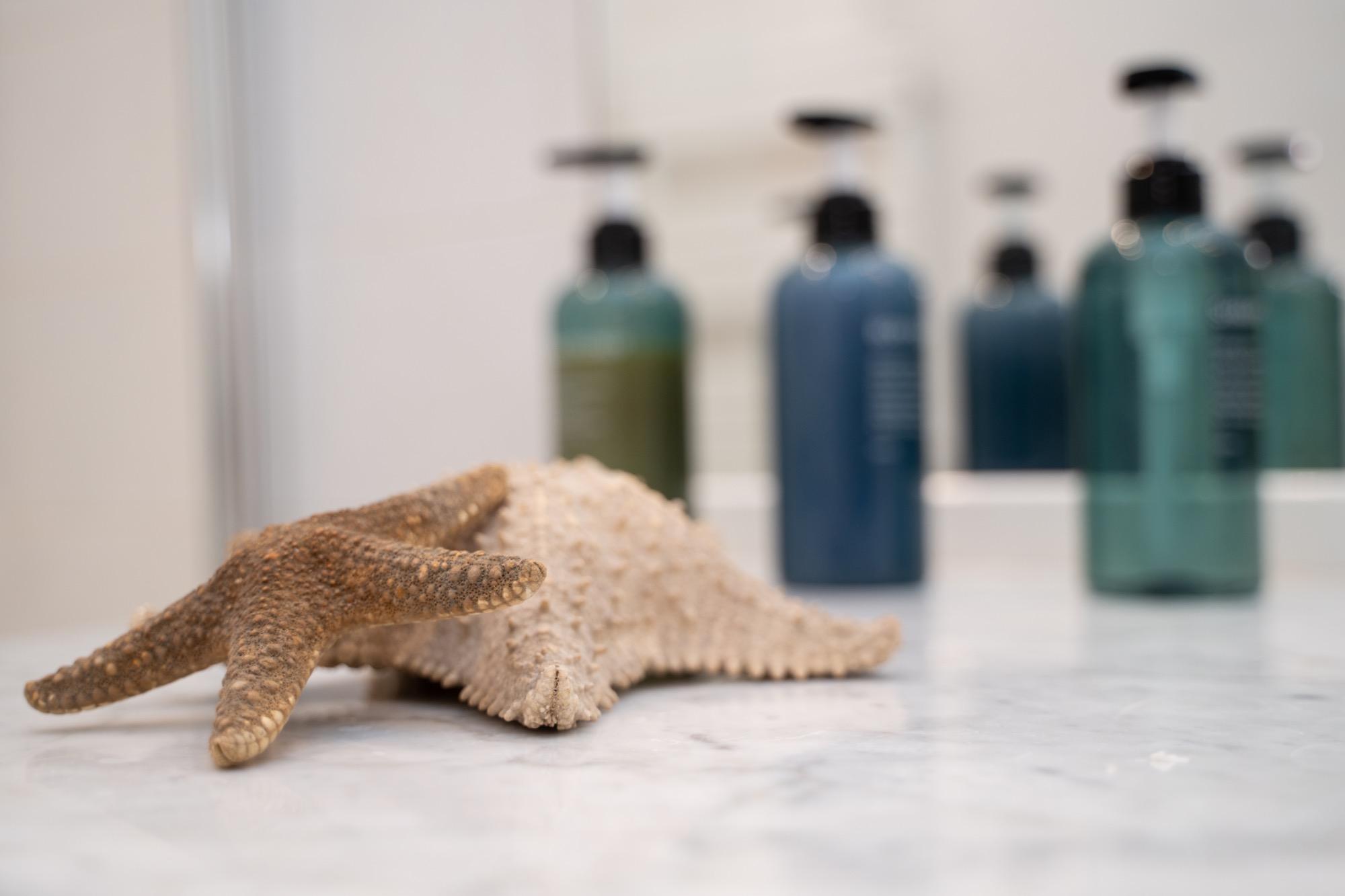 Veri Coralli, in quanto l'appartamento si trova in Via del Corallo