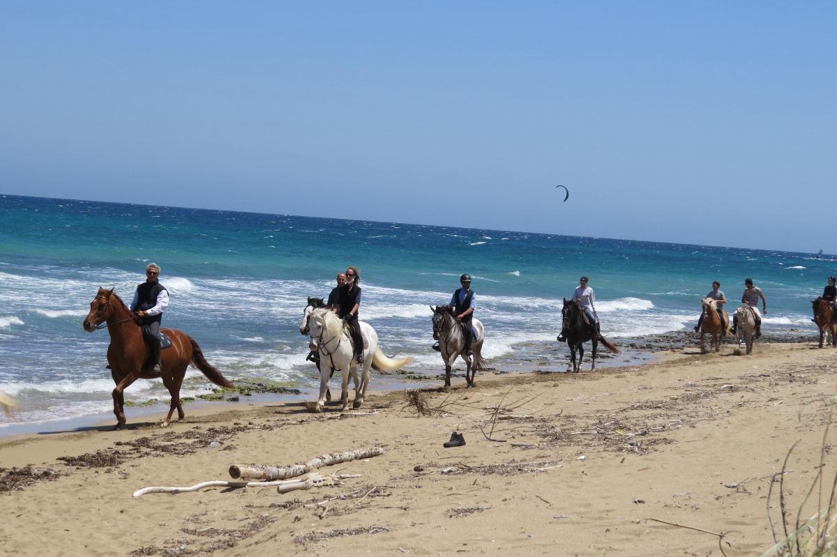 Passeggiate a cavallo