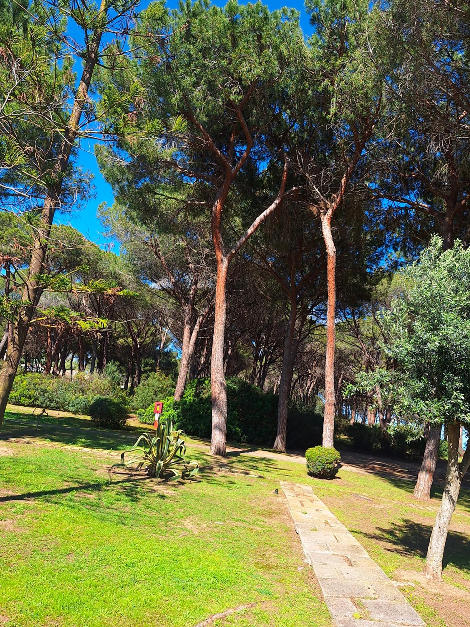 Parco