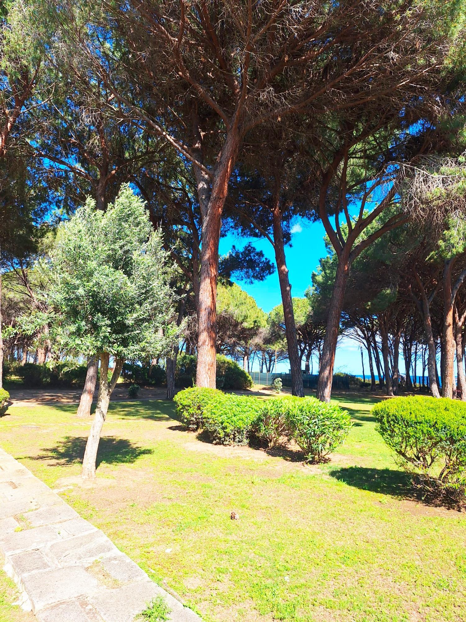 Giardino