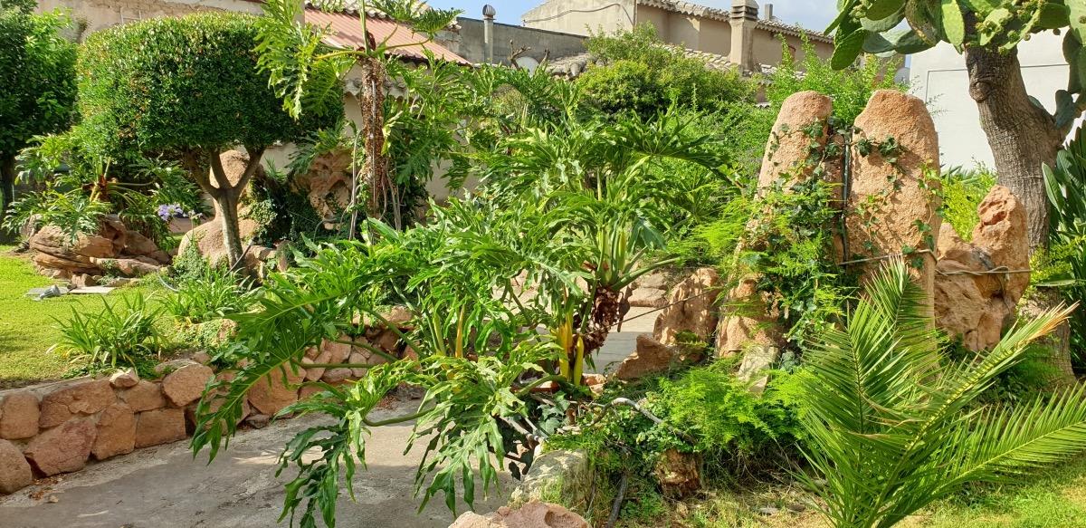 Garden - Plants and rocks