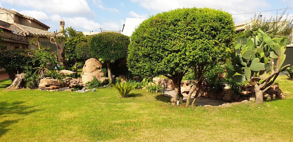 Garden - Green lawn and trees