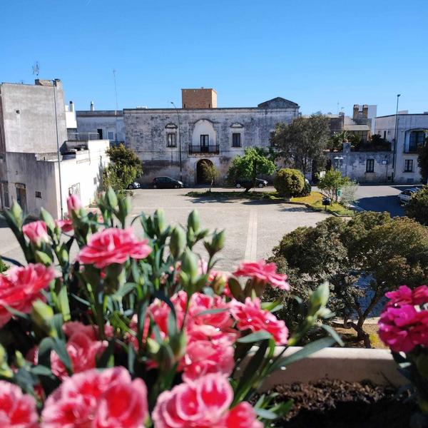  B&B Cèsar