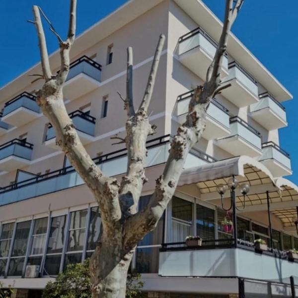  Hotel Kursaal Bellaria