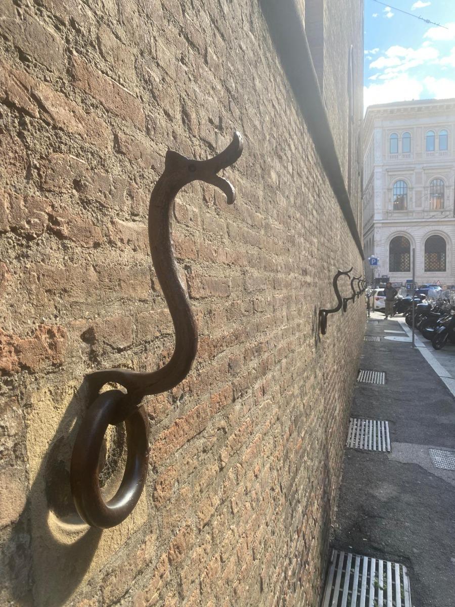 "Gli eleganti Ferri a Testa di Serpente" a cui venivano legati gli animali da cavalcatura - Palazzo Pepoli Vecchio Bologna