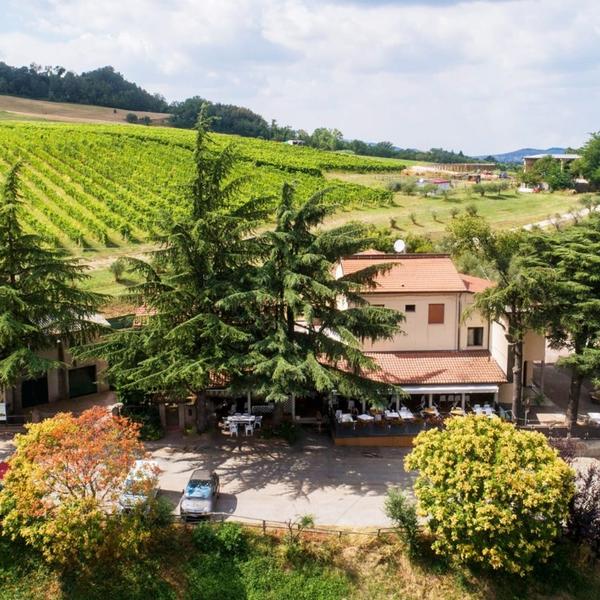 agriturismo gli ulivi