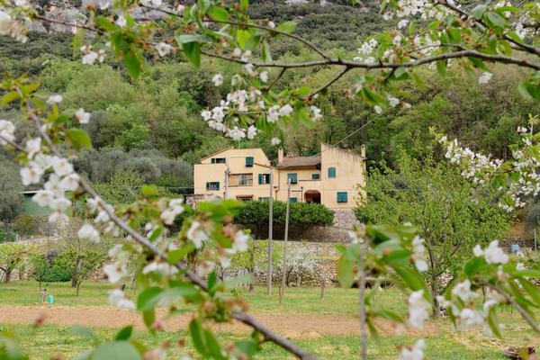 Agriturismo Alveare