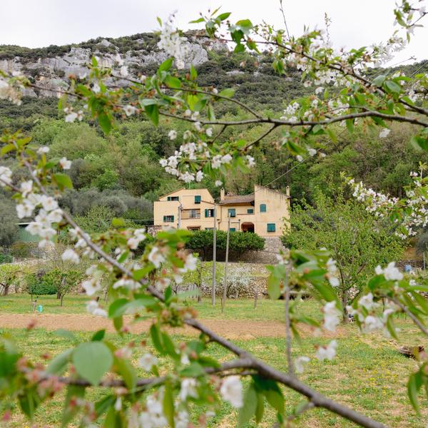  Agriturismo Alveare
