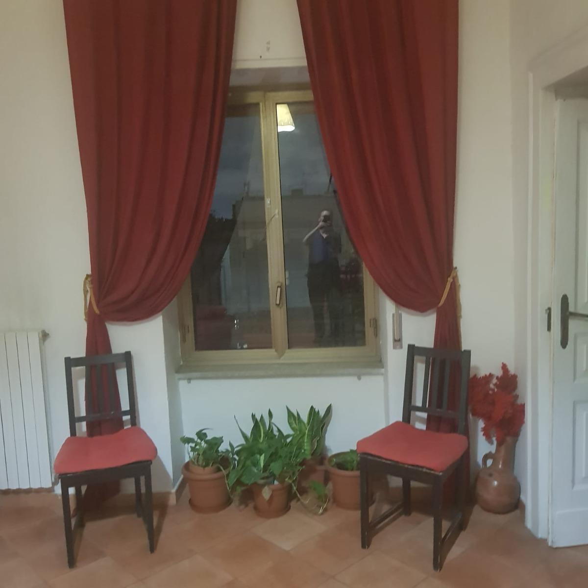 Scorcio con piante sempre geen di uno dei grandi saloni