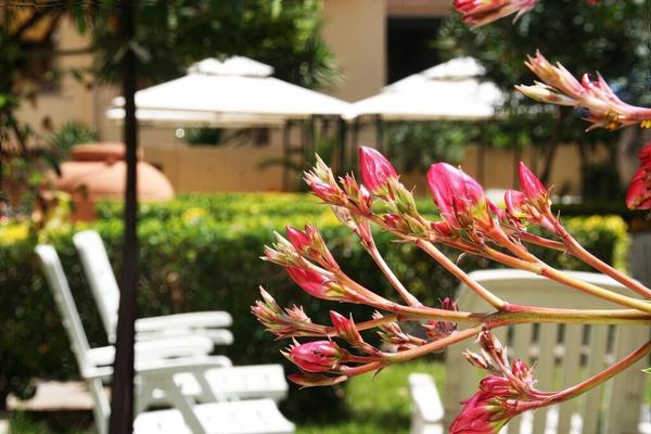Solemare Accommodation Alghero