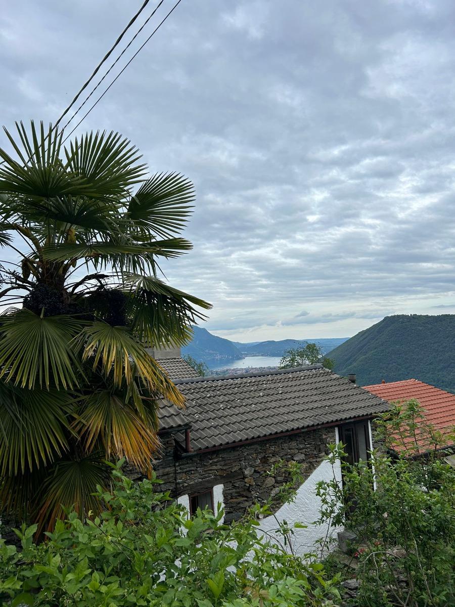 Vista dalla strada con lago sullo sfondo