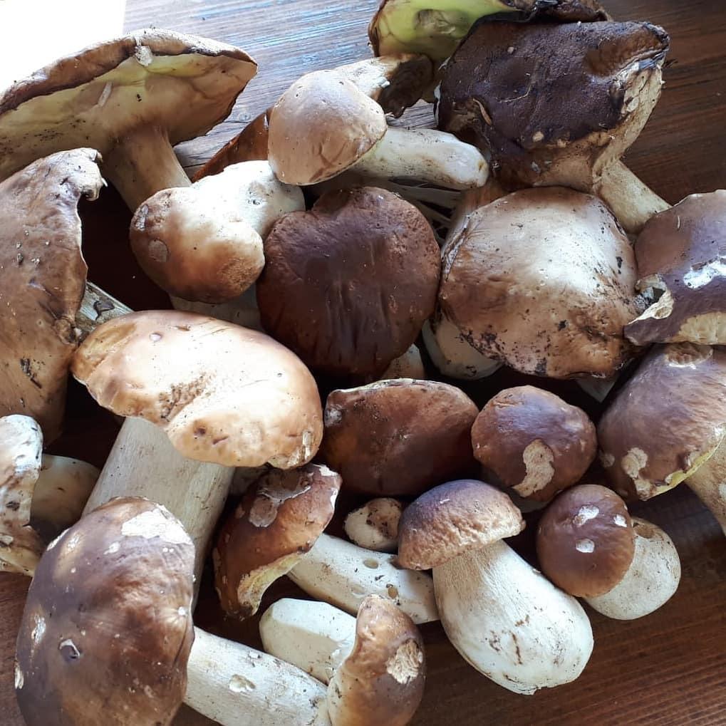 Il ristorante di LA CAPANNINA