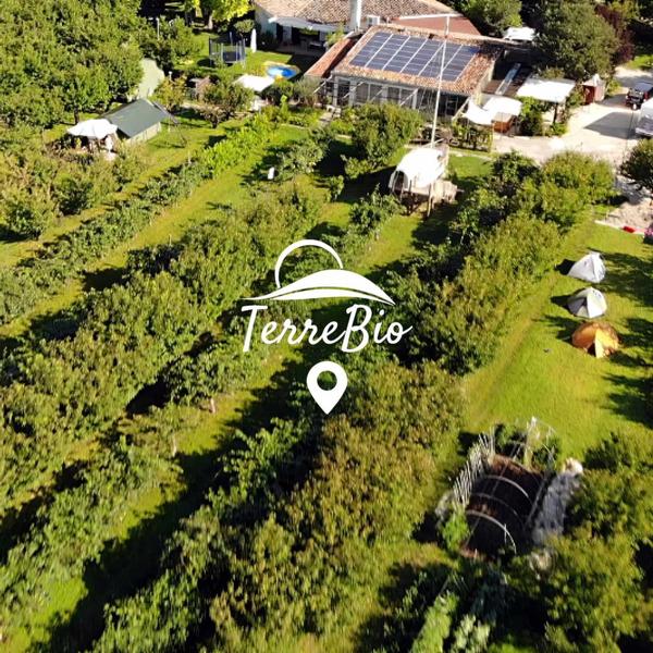  Terrebio