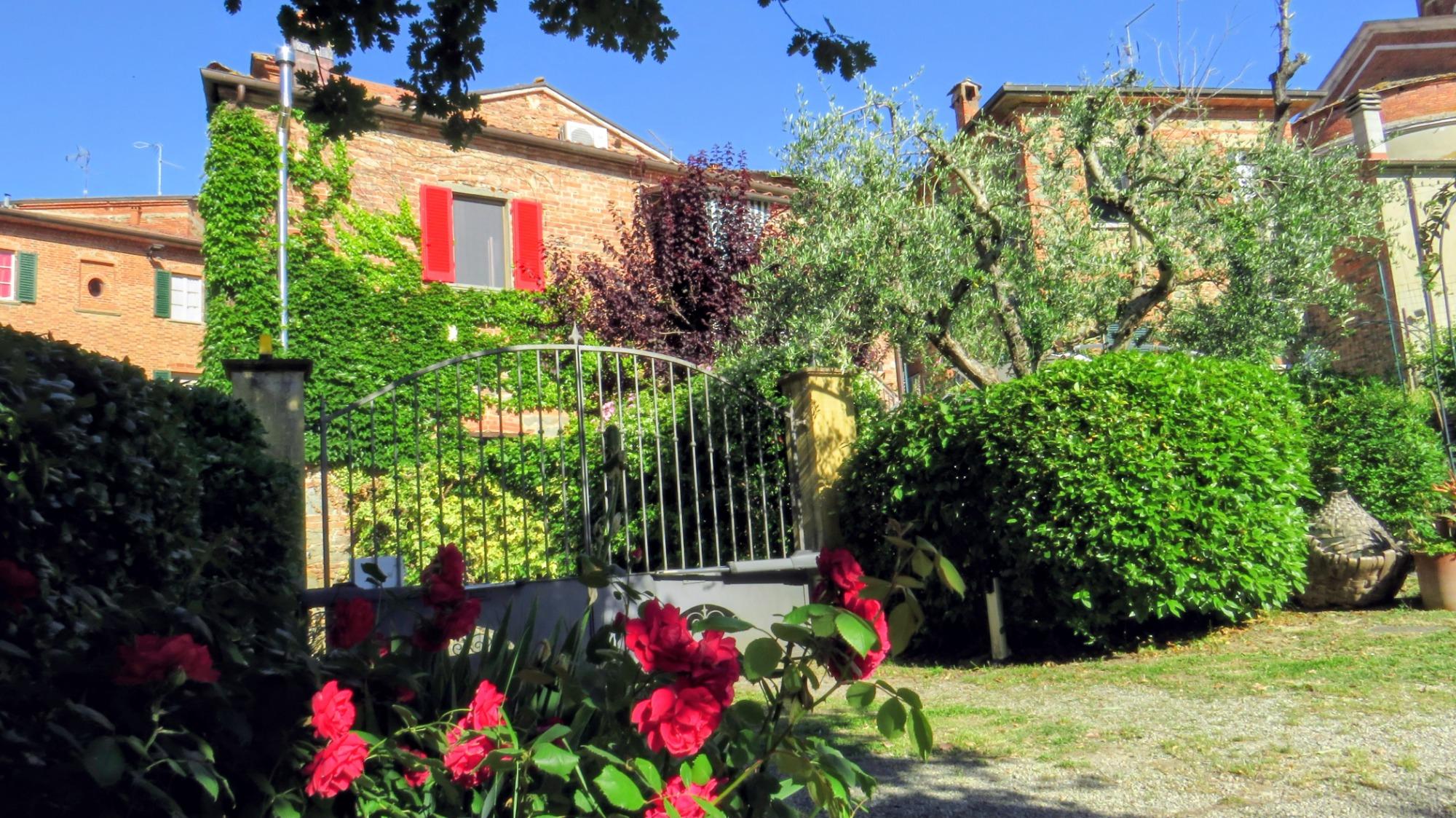 Roseto in primavera
