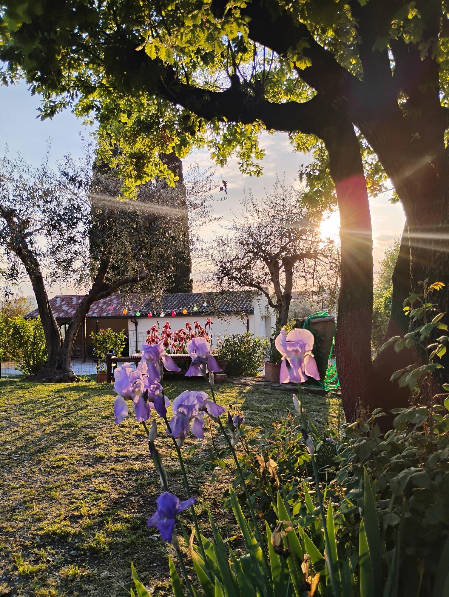 Vista sulla valle