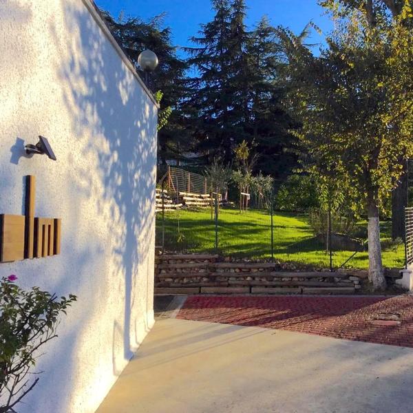7 olmi b&b bologna