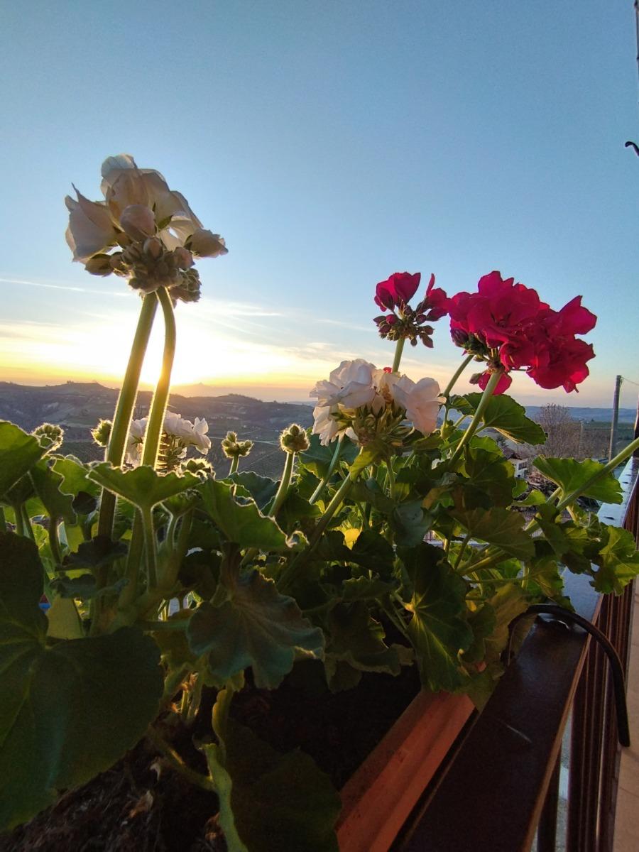 Tramonto dal 'Pujol', il balcone di 'Monviso'