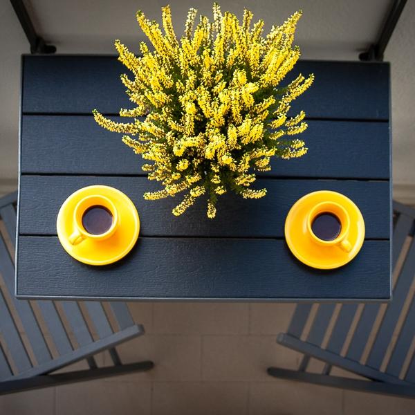  Mv Yellow Apartment