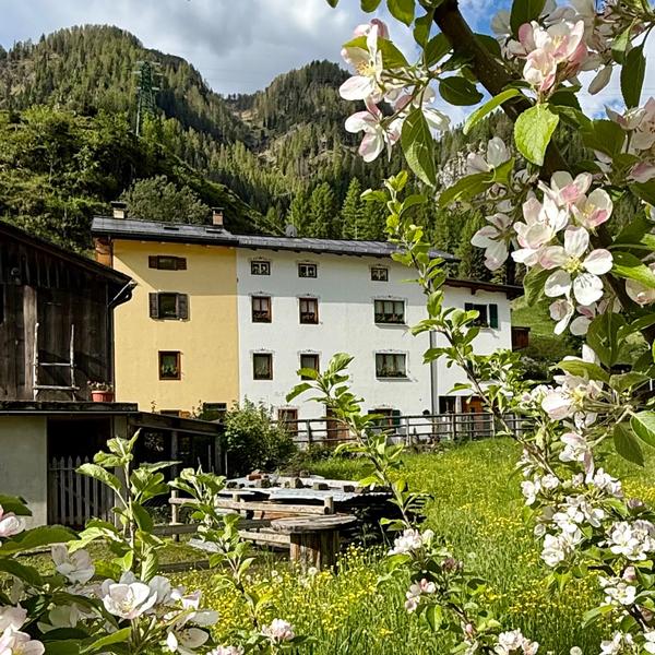  B&B Ciesa La Vèrda