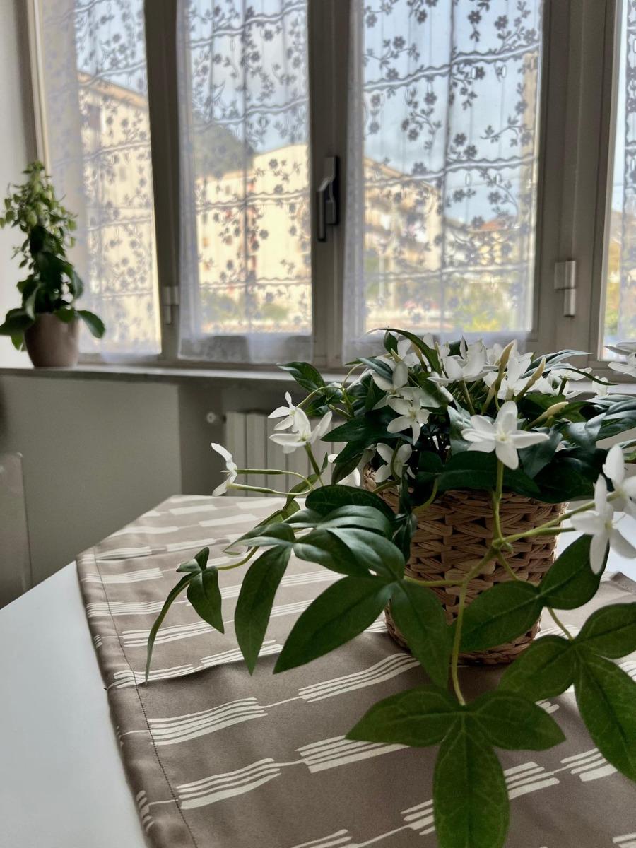 Particolare soggiorno GREEN House