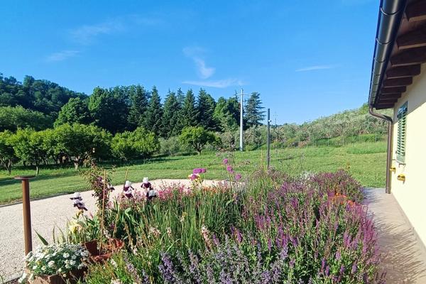 Colle Gelso B&B