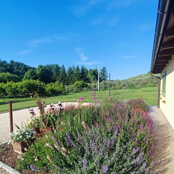 colle gelso b&b