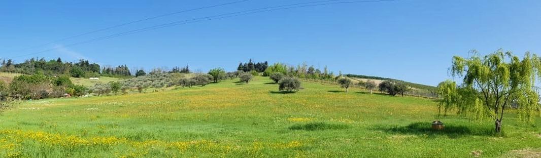 Colle Gelso, esterni