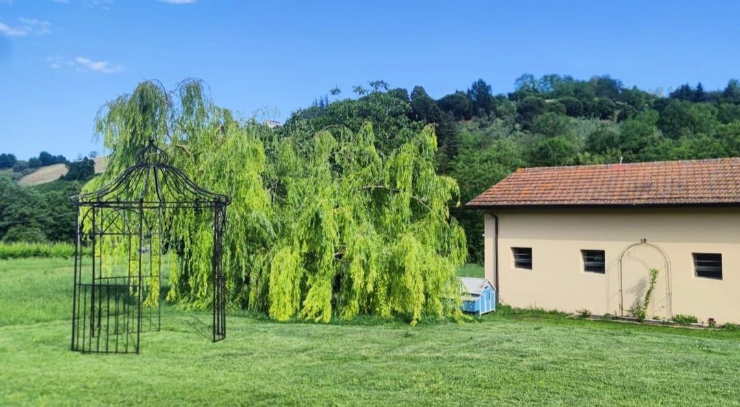 Colle Gelso, esterni