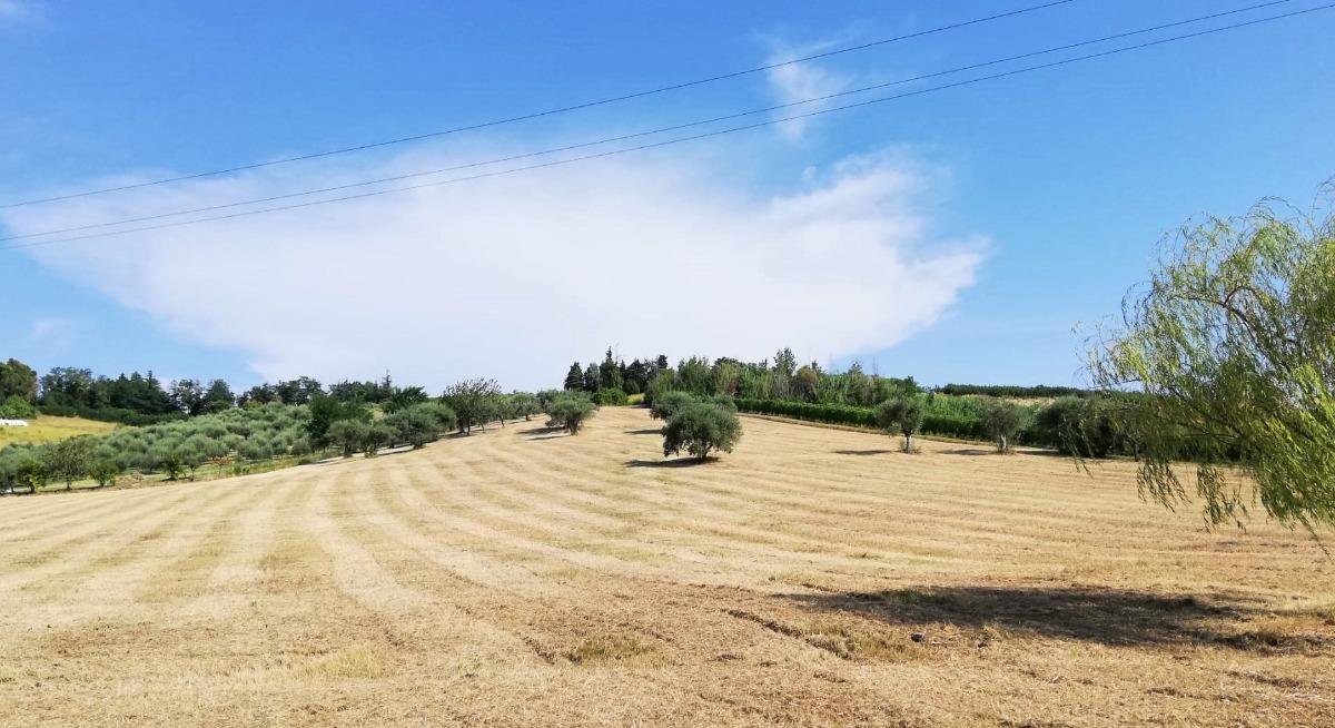 Colle Gelso, esterni