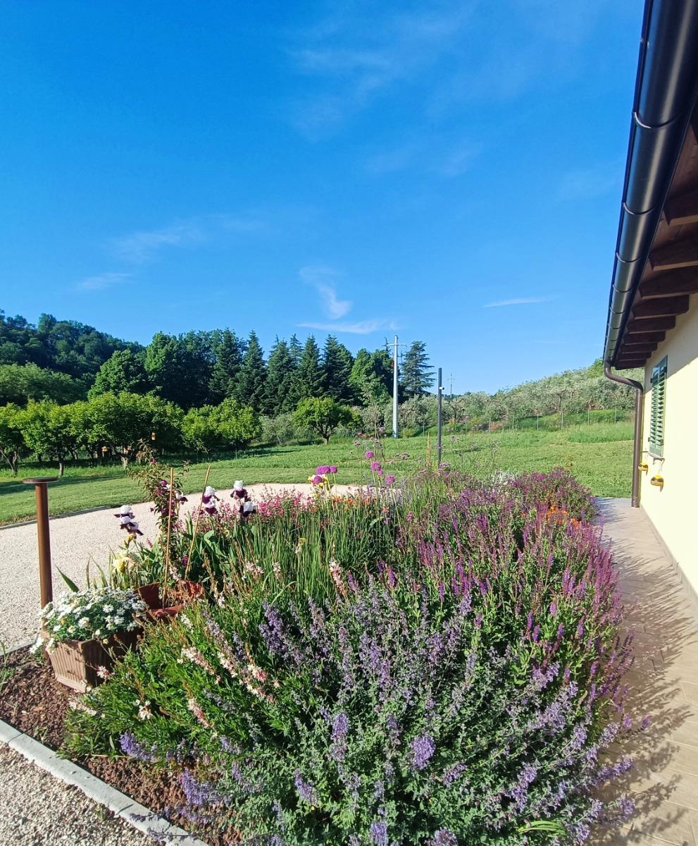 Colle Gelso, esterni. Tavolo da pranzo e pergolato